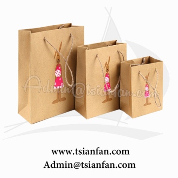 Custom LOGO Printed Cardboard/Craft Paper Bag PG605