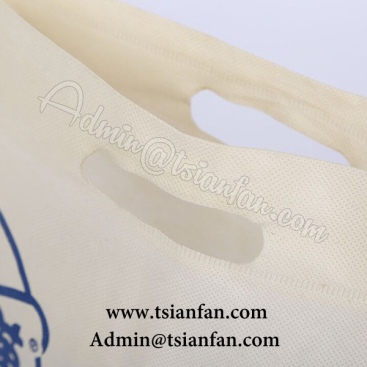 Customized Top Quality Non-woven Bag PG626