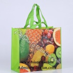 Laminated Foldable Shopping Non-woven Fabric Bag PG625